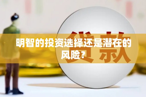 佛山明智的投资选择还是潜在的风险？