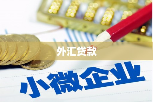 佛山外汇贷款