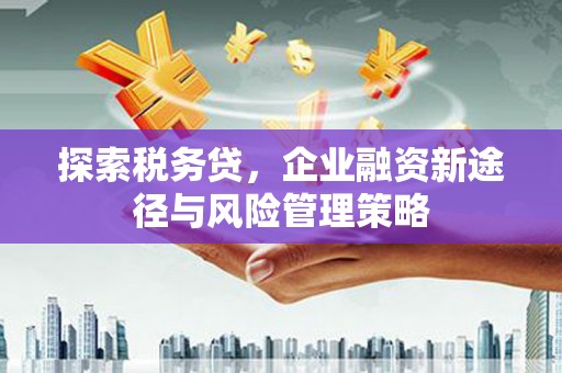 佛山探索税务贷，企业融资新途径与风险管理策略