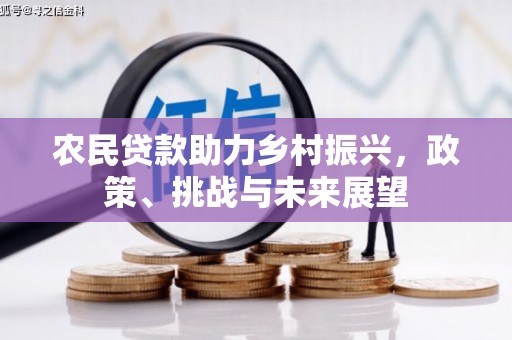 佛山农民贷款助力乡村振兴，政策、挑战与未来展望