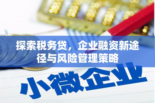 佛山探索税务贷，企业融资新途径与风险管理策略