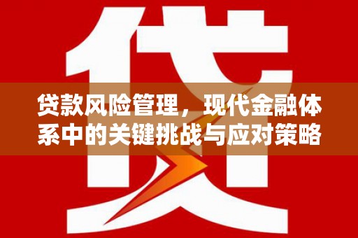 佛山贷款风险管理，现代金融体系中的关键挑战与应对策略