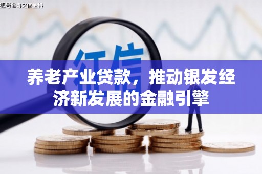 佛山养老产业贷款，推动银发经济新发展的金融引擎