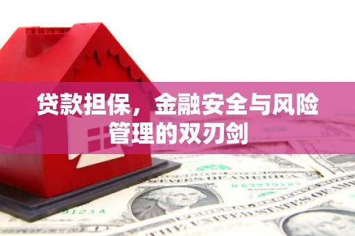 佛山贷款担保，金融安全与风险管理的双刃剑