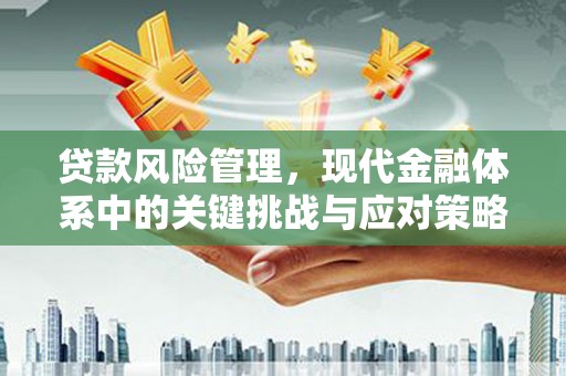 佛山贷款风险管理，现代金融体系中的关键挑战与应对策略