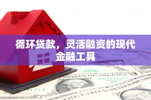 佛山循环贷款，灵活融资的现代金融工具